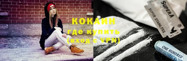 стаф Арсеньев
